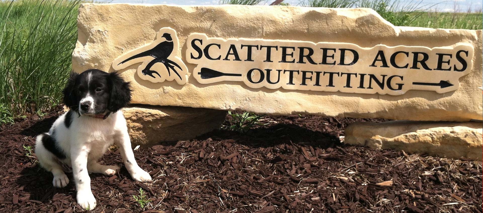 Review Scattered Acres Outfitting LLC