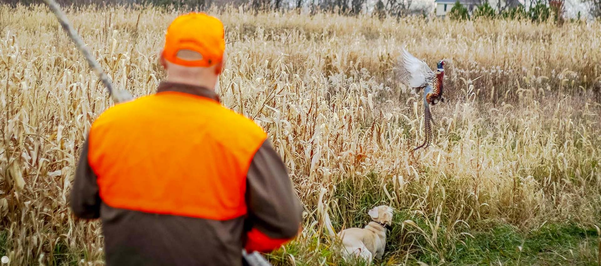 Corporate Hunting Trips in Kansas