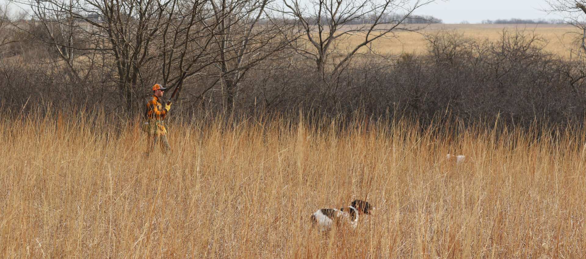 Mixed-Bag Upland Hunts Mixed-Bag Upland Hunts