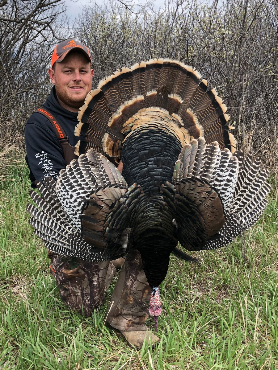Kansas Turkey Hunts Rio And Eastern Turkey Hunts In Kansas