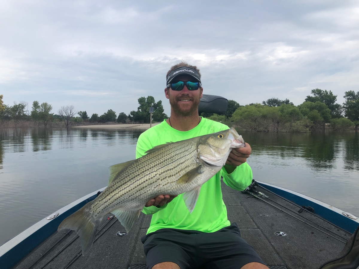 Milford Lake Fishing Guide Guided Fishing Trips at Milford Lake in Kansas